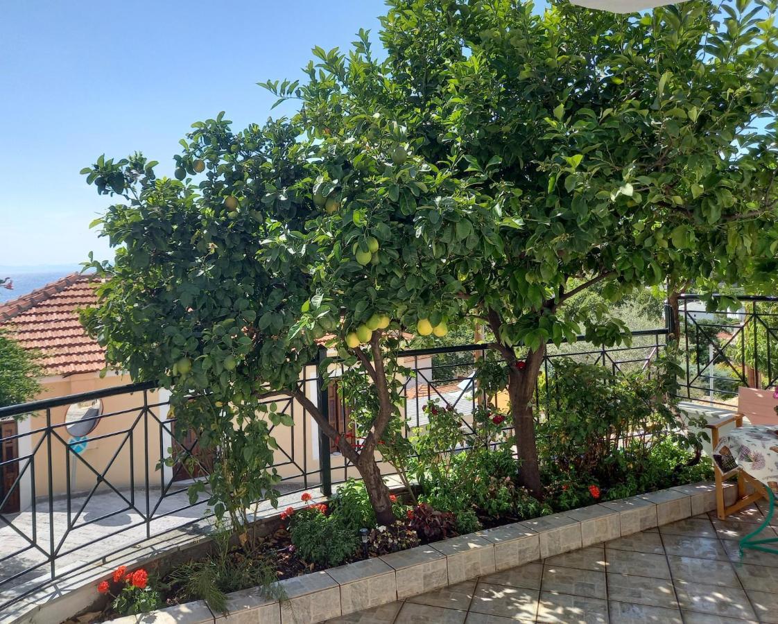 Villa Πηλιο- Το Εξοχικο Τησ Αννασ- Αφησσοσ à Áfissos Extérieur photo