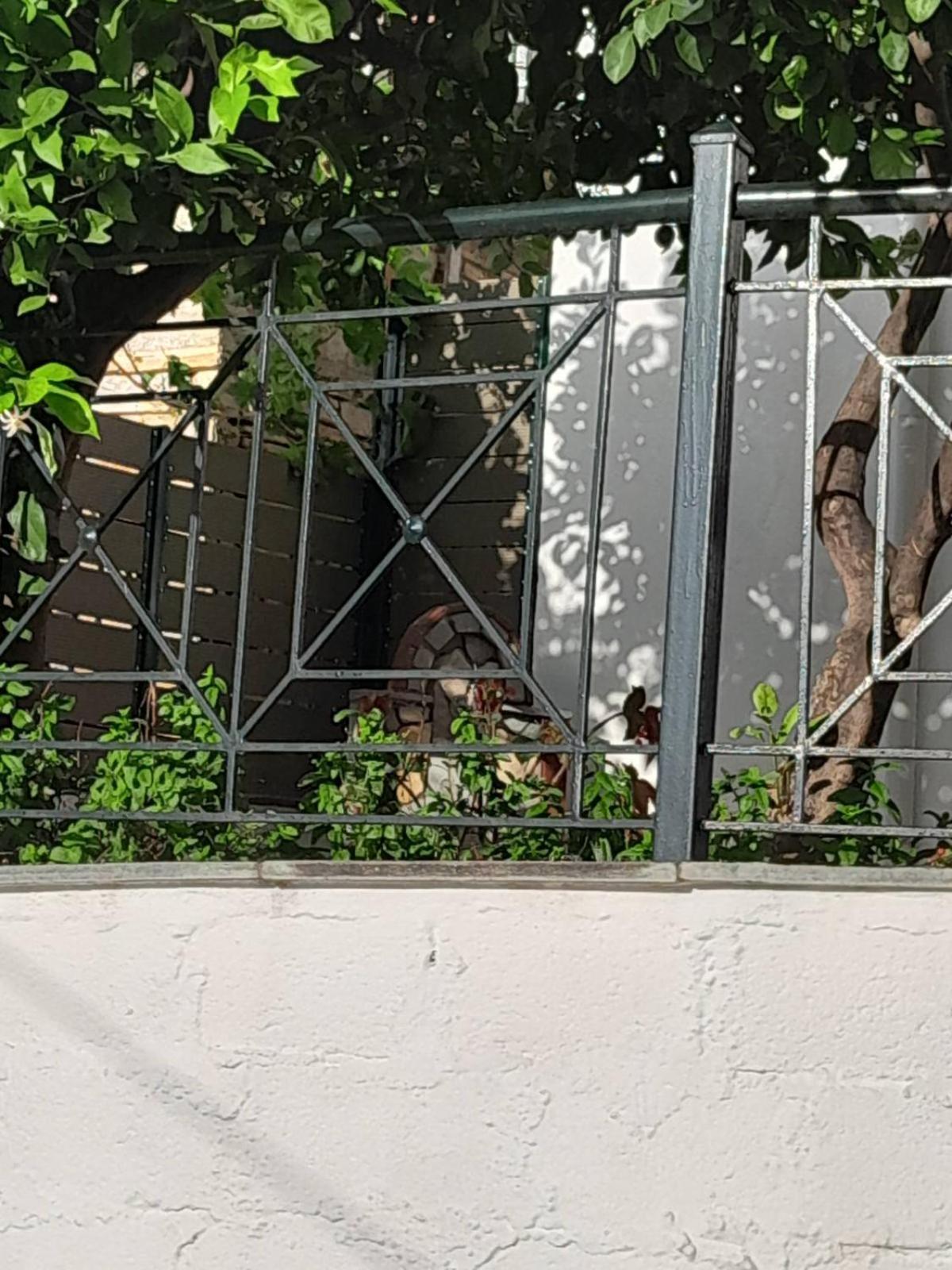 Villa Πηλιο- Το Εξοχικο Τησ Αννασ- Αφησσοσ à Áfissos Extérieur photo